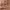 https://res.cloudinary.com/billionhands/image/upload/v1780485620/items/t7kddrf70b0slo9m1c3t.jpg-2cover