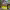 https://res.cloudinary.com/billionhands/image/upload/v1780485682/items/moluwzduy09fgivr72yw.jpg-0cover