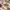 https://res.cloudinary.com/billionhands/image/upload/v1780485687/items/tuzzzetr3kmo46aywfwa.jpg-1cover