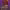 https://res.cloudinary.com/billionhands/image/upload/v1780485887/items/t7aiwwtwe06weqixeuij.png-2cover