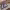 https://res.cloudinary.com/billionhands/image/upload/v1780486849/items/cg203w1s7qybxofbv8ft.png-3cover