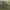 https://res.cloudinary.com/billionhands/image/upload/v1780486855/items/cgzktuclwcjozs8smyhd.webp-2cover