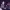 https://res.cloudinary.com/billionhands/image/upload/v1780486877/items/zltco88seycanegrds05.webp-3cover