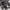 https://res.cloudinary.com/billionhands/image/upload/v1780487685/items/rar71rmqo2fyvqa9u4dc.webp-0cover