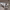 https://res.cloudinary.com/billionhands/image/upload/v1780487809/items/pezizxcdi9wjqzsjadpa.jpg-2cover