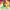 https://res.cloudinary.com/billionhands/image/upload/v1780487814/items/sfklcctihwm8wjmmskg7.jpg-1cover