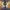 https://res.cloudinary.com/billionhands/image/upload/v1780487984/items/gdn0dkagys84qujo9fsn.avif-3cover