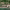 https://res.cloudinary.com/billionhands/image/upload/v1780488135/items/usefjsikuinqcsknv9uf.jpg-0cover