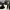 https://res.cloudinary.com/billionhands/image/upload/v1780488517/items/wacefnjp1ld1ckknwaf7.avif-3cover