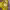 https://res.cloudinary.com/billionhands/image/upload/v1780489697/items/ernfbpx2fgp6knws5xj2.jpg-2cover