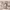 https://res.cloudinary.com/billionhands/image/upload/v1780489835/items/i08t8hocn6sjjoughqho.jpg-2cover