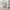 https://res.cloudinary.com/billionhands/image/upload/v1780489920/items/sswgechetqak9mxiurf6.webp-0cover