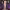 Camila Cabello (BAFTA 2025) - Sequins cover