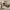 https://res.cloudinary.com/billionhands/image/upload/v1780489938/items/miuiafshtqw2z2s5szgj.avif-2cover