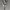 https://res.cloudinary.com/billionhands/image/upload/v1780490327/items/a8ggswl3fb58ydsst8cq.jpg-0cover