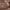 https://res.cloudinary.com/billionhands/image/upload/v1780490387/items/pie6r3ajtbisamz06p4k.jpg-0cover