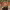 https://res.cloudinary.com/billionhands/image/upload/v1780490847/items/pk2nwql5lsvws0zrzvet.webp-2cover