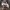 https://res.cloudinary.com/billionhands/image/upload/v1780490882/items/k9fiv0efi9murnxll7k5.jpg-0cover