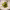 https://res.cloudinary.com/billionhands/image/upload/v1780490895/items/gog5iy6m8pxfantdoygv.webp-1cover