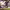 Túnez 1 - Francia 0 (Mundial Qatar 2022) cover