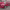 https://res.cloudinary.com/billionhands/image/upload/v1780493228/items/e79u9gnafpdj6fucjbbb.jpg-3cover