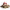 https://res.cloudinary.com/billionhands/image/upload/v1780493427/items/tlyfyajaotgue1m9t8dj.png-1cover