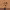 https://res.cloudinary.com/billionhands/image/upload/v1780494538/items/wapvcc3glowhjyj131bw.webp-0cover