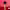https://res.cloudinary.com/billionhands/image/upload/v1780494939/items/carxzzg0ydqfcm18fqtv.png-2cover