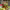 https://res.cloudinary.com/billionhands/image/upload/v1780496568/items/w8tsl1qynb4zufuxwipz.jpg-1cover