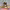 https://res.cloudinary.com/billionhands/image/upload/v1780496573/items/wlvt1lqkxuv0dlvtmtix.webp-1cover