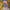 https://res.cloudinary.com/billionhands/image/upload/v1780496750/items/ozmtvgn04gpgvcjdwdey.jpg-2cover