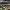 https://res.cloudinary.com/billionhands/image/upload/v1780496756/items/f72wajbgv5ounbeqbv0v.jpg-2cover