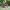https://res.cloudinary.com/billionhands/image/upload/v1780496993/items/n37cryzms9ov00xyo5eb.jpg-0cover