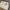 https://res.cloudinary.com/billionhands/image/upload/v1780497219/items/qlgnkczumlwa1vtysqjd.jpg-2cover