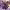 https://res.cloudinary.com/billionhands/image/upload/v1780497398/items/etk94wzupohlq7kvt4ic.jpg-3cover