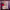 https://res.cloudinary.com/billionhands/image/upload/v1780497403/items/adytmp7hmnqytvymftyw.jpg-1cover