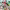 https://res.cloudinary.com/billionhands/image/upload/v1780497958/items/fy2igxz1ktpfvshof4xb.jpg-3cover