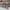 https://res.cloudinary.com/billionhands/image/upload/v1780498302/items/ci2blzbyjrjkuco9rpfi.webp-2cover