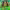 https://res.cloudinary.com/billionhands/image/upload/v1780498364/items/xzwrzthhxls3c7iewq4m.avif-3cover