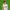 https://res.cloudinary.com/billionhands/image/upload/v1780498958/items/ddydsacno1rzbeu8ydpl.jpg-2cover
