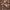 https://res.cloudinary.com/billionhands/image/upload/v1780499104/items/nkwxk2s658yublnhxwtd.jpg-0cover