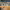 https://res.cloudinary.com/billionhands/image/upload/v1780499131/items/nzxzvufznir4cmhxpzmk.jpg-3cover