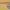 https://res.cloudinary.com/billionhands/image/upload/v1780499144/items/vylcezutcgooginfvchw.webp-1cover