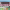 https://res.cloudinary.com/billionhands/image/upload/v1780499158/items/najn6slpwwq3s6fcquds.jpg-2cover