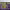 https://res.cloudinary.com/billionhands/image/upload/v1780499216/items/frmd9vs5nqyybuezweto.jpg-0cover