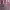 https://res.cloudinary.com/billionhands/image/upload/v1780499325/items/jtgv7a4uljhhsxudlscp.jpg-2cover