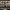 https://res.cloudinary.com/billionhands/image/upload/v1780499347/items/wtsstjmfvrtjuysnb3lt.webp-2cover
