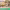 https://res.cloudinary.com/billionhands/image/upload/v1780500120/items/kazs2u197izivnay35pd.jpg-0cover