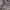 https://res.cloudinary.com/billionhands/image/upload/v1780500339/items/b4dzjsrjqkhwzv3isb0k.jpg-1cover