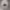 https://res.cloudinary.com/billionhands/image/upload/v1780500343/items/w2psftqxpwzwxe9u4pnf.webp-3cover